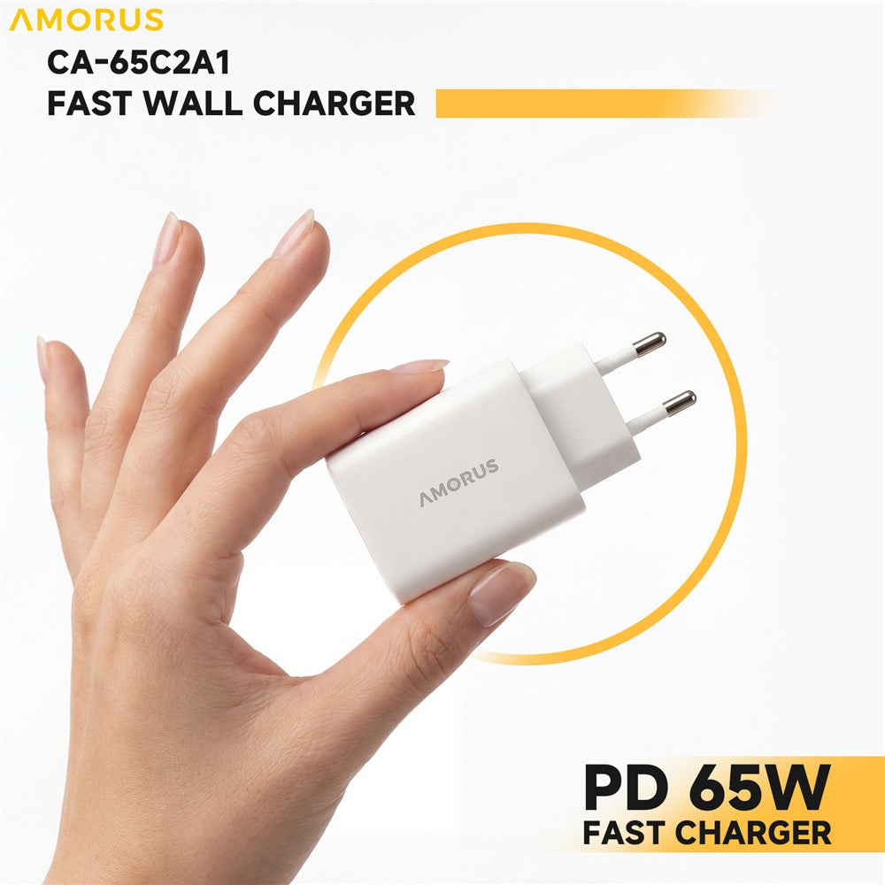 Wall Charger 