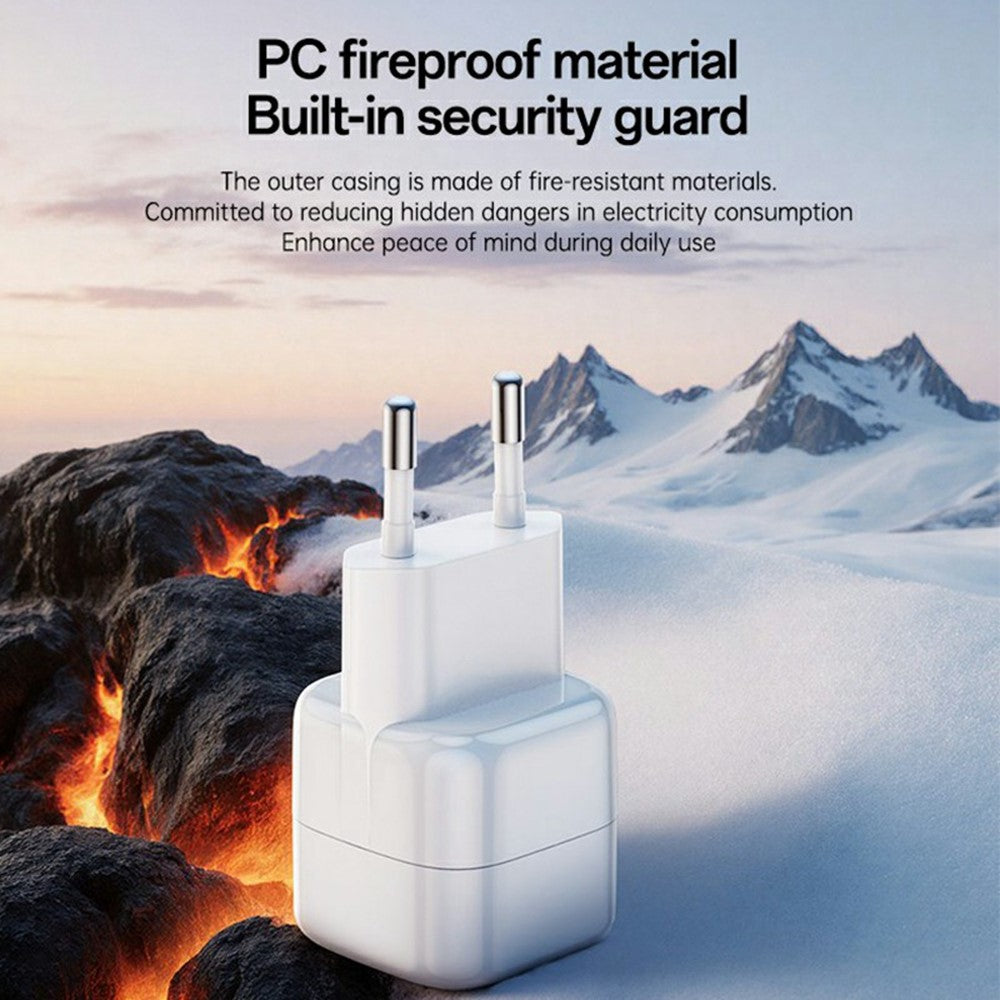Wall Charger 