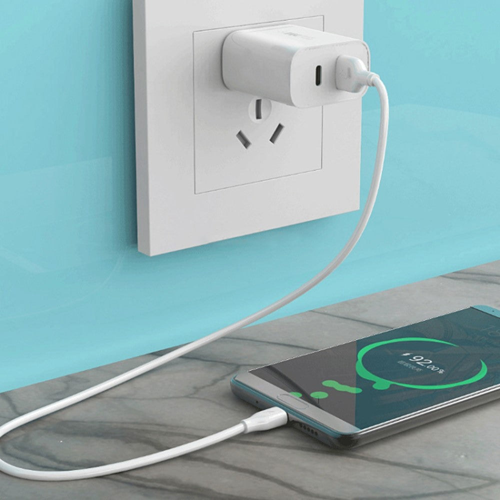 Wall Charger 