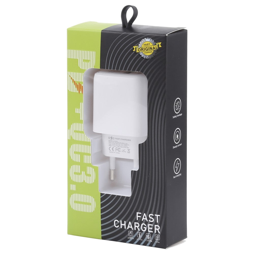 Wall Charger 