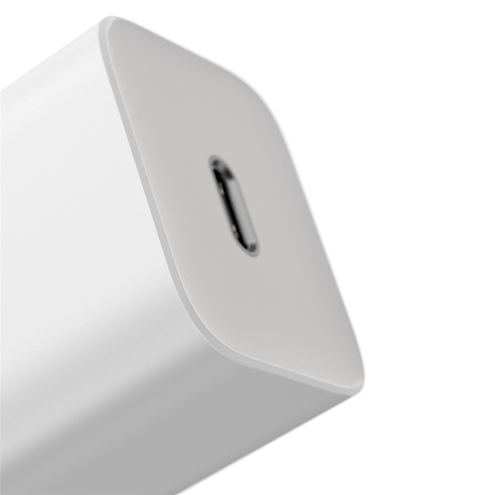 Wall Charger 