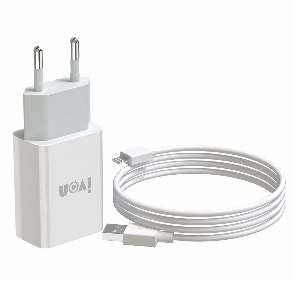 Wall Charger 