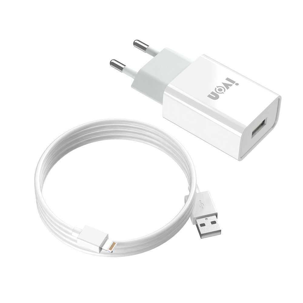 Wall Charger 