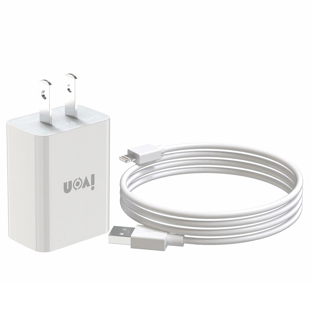 Wall Charger 
