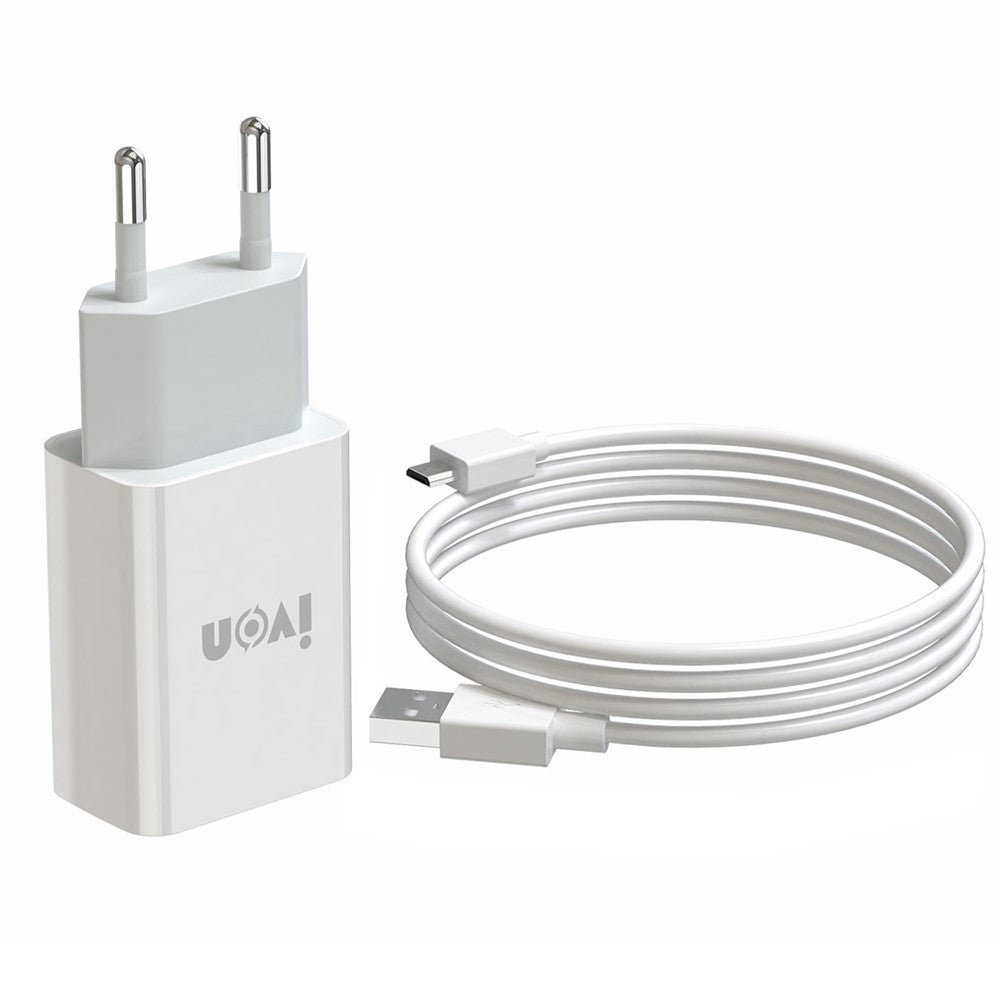 Wall Charger 