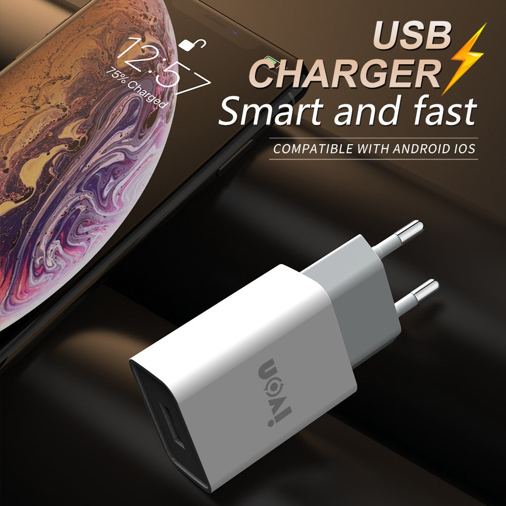 Wall Charger 