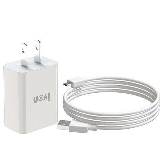 Wall Charger 
