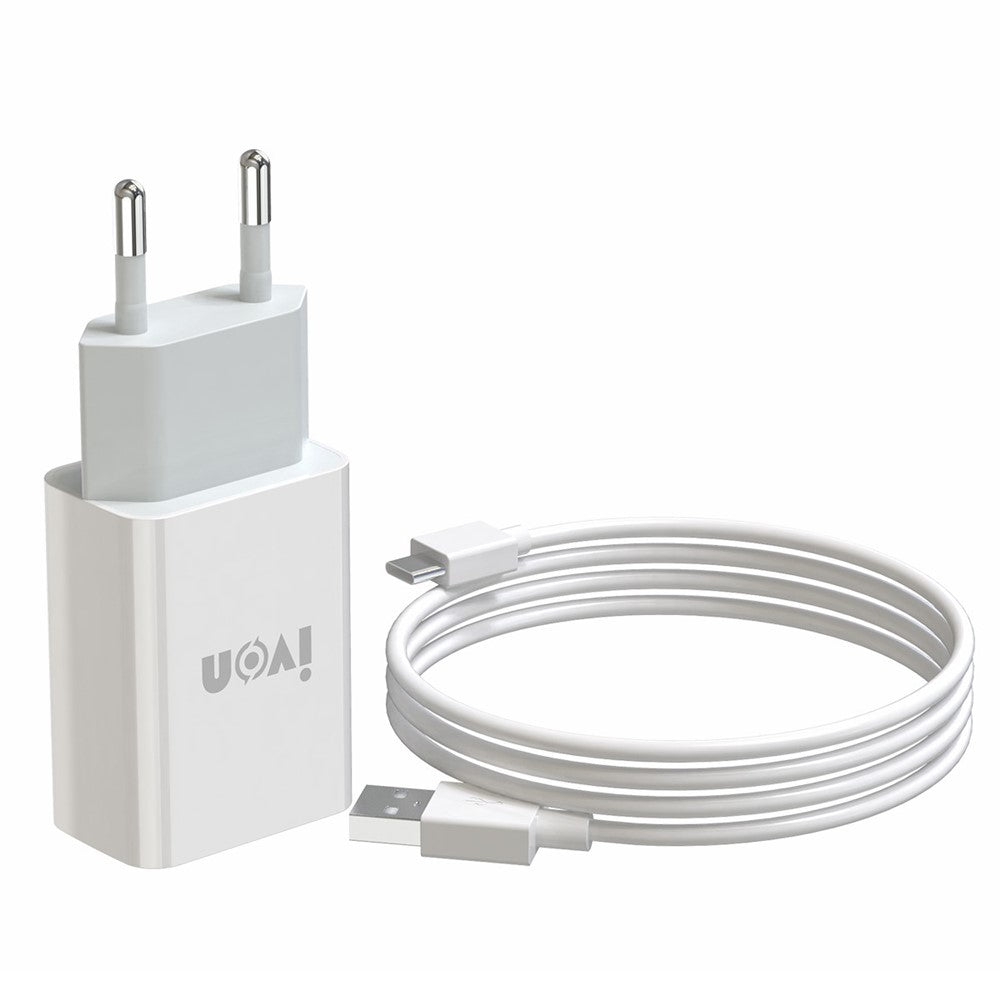 Wall Charger 