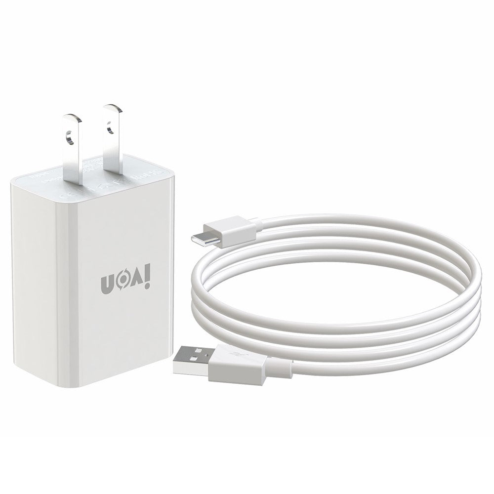 Wall Charger 