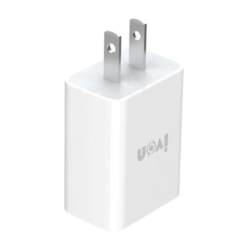 Wall Charger 