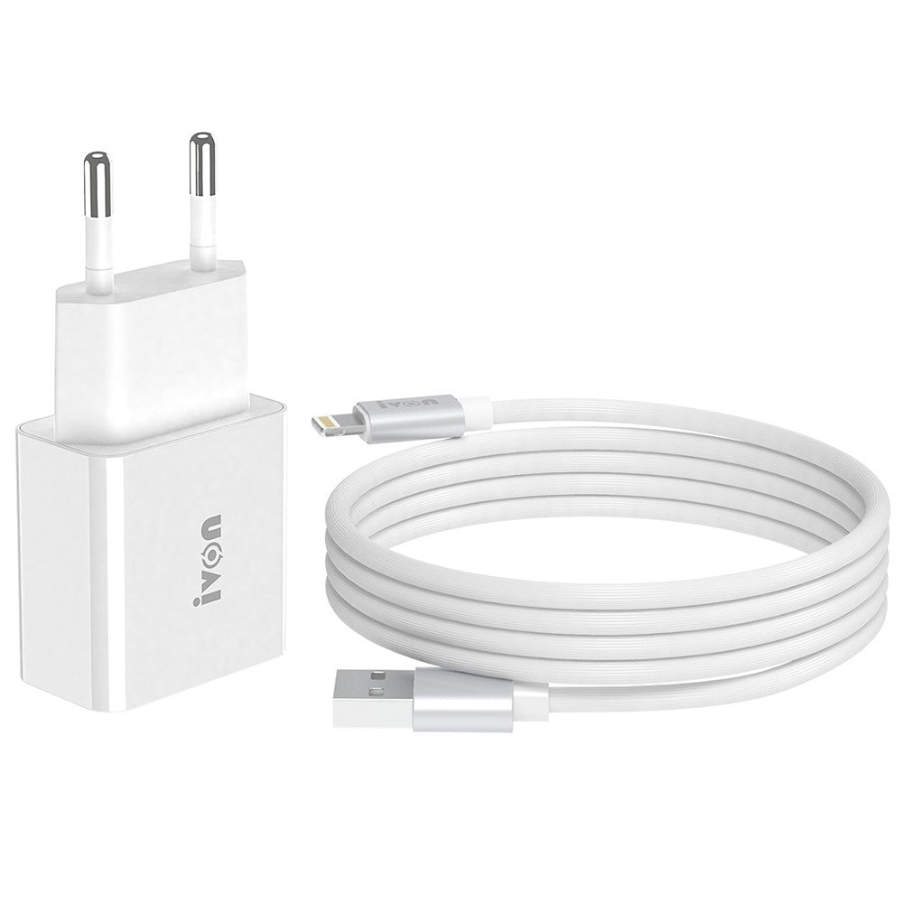 Wall Charger 