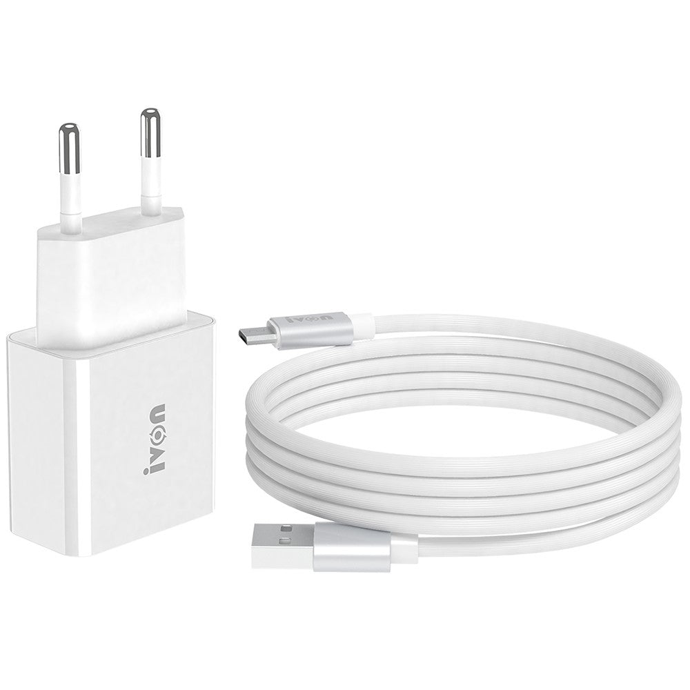Wall Charger 