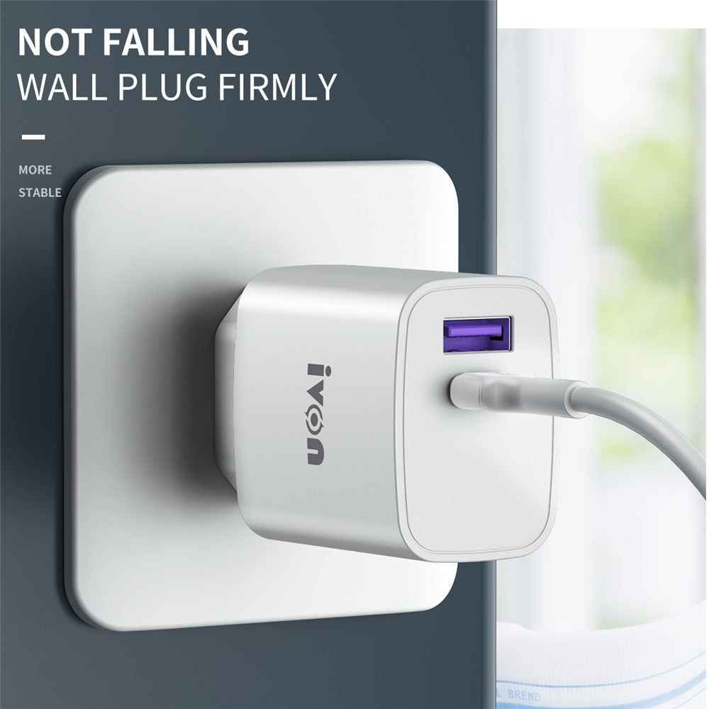 Wall Charger 
