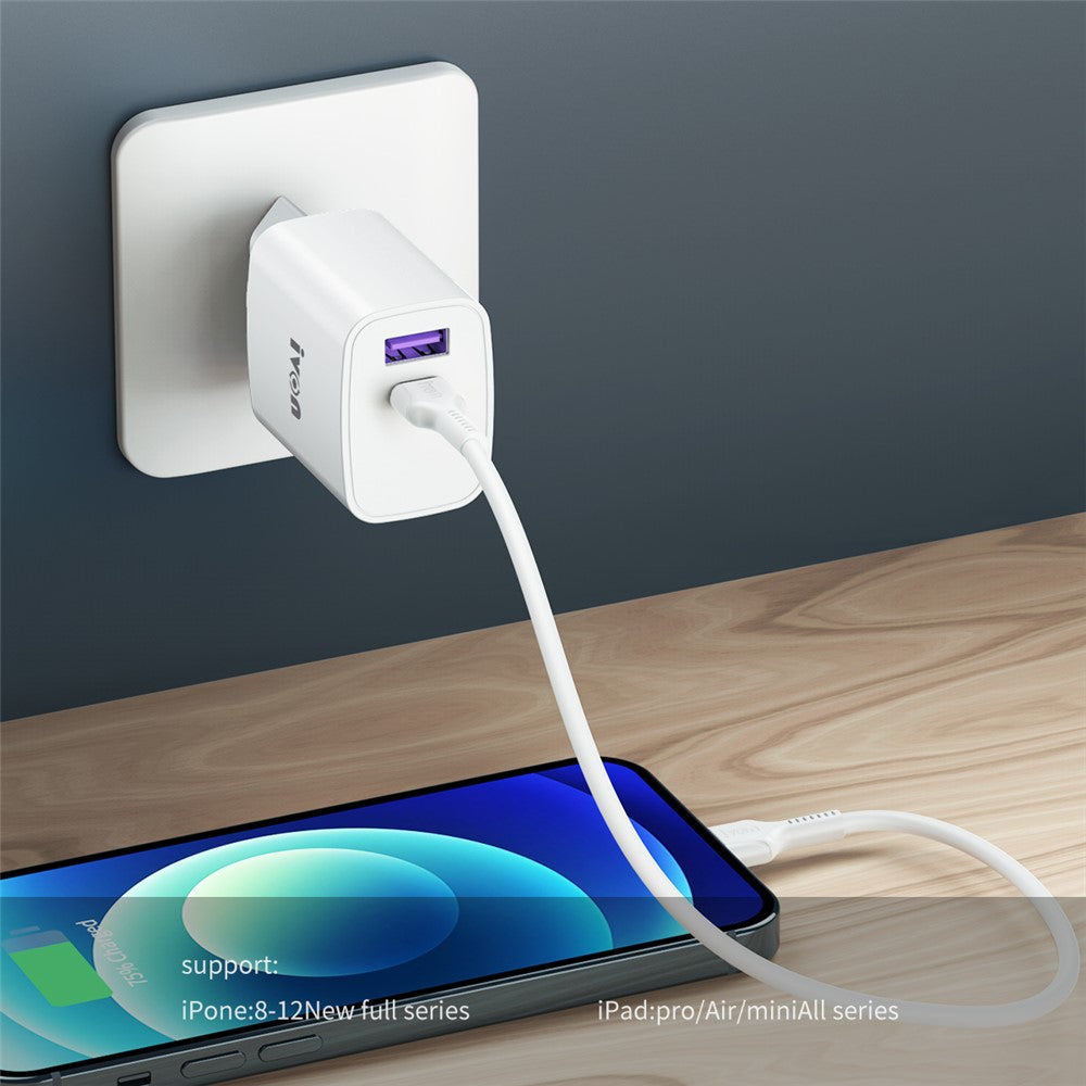 Wall Charger 