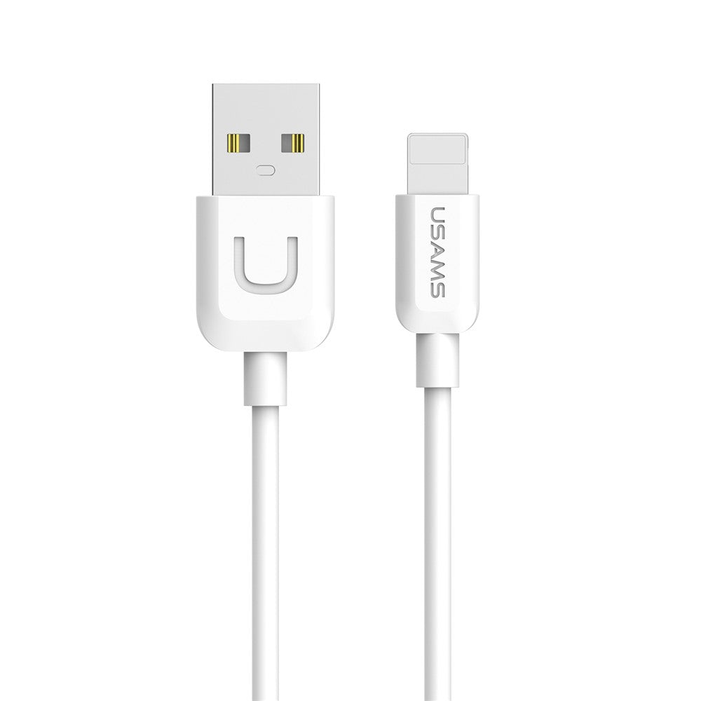 Wall Charger 