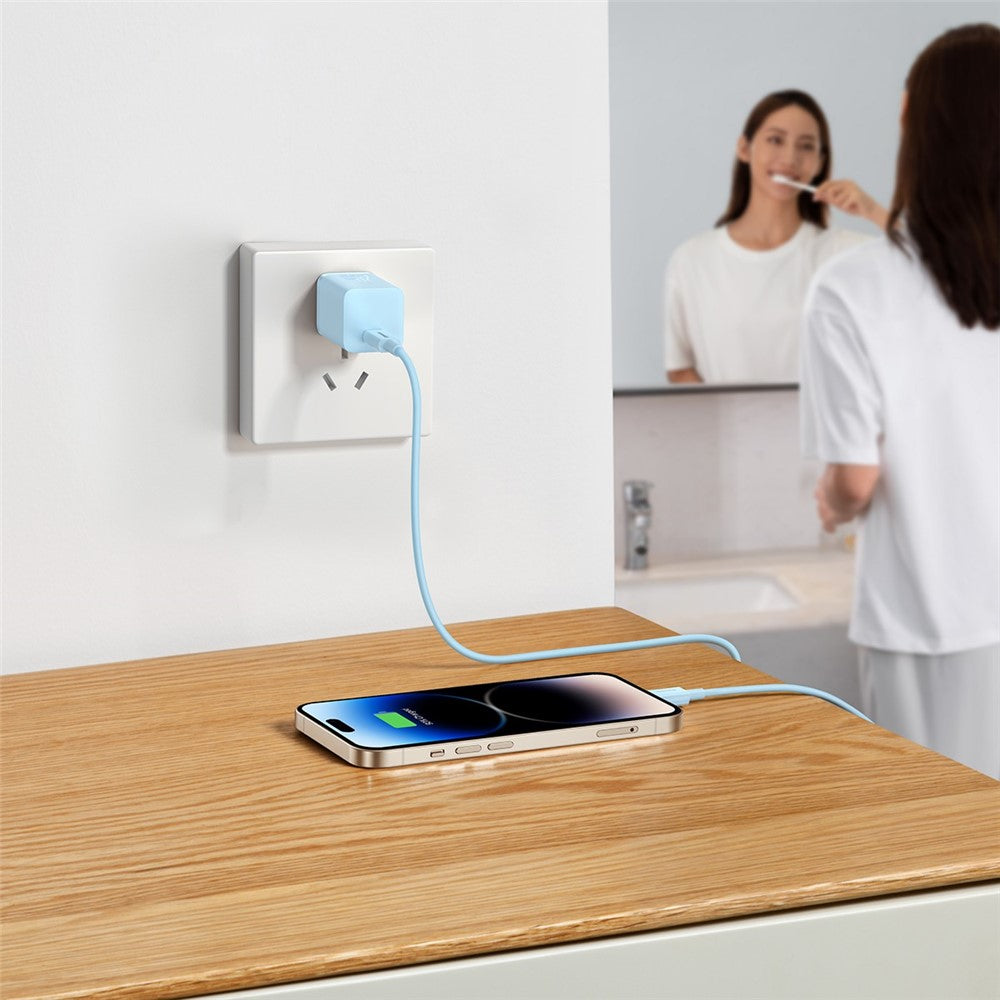 Wall Charger 