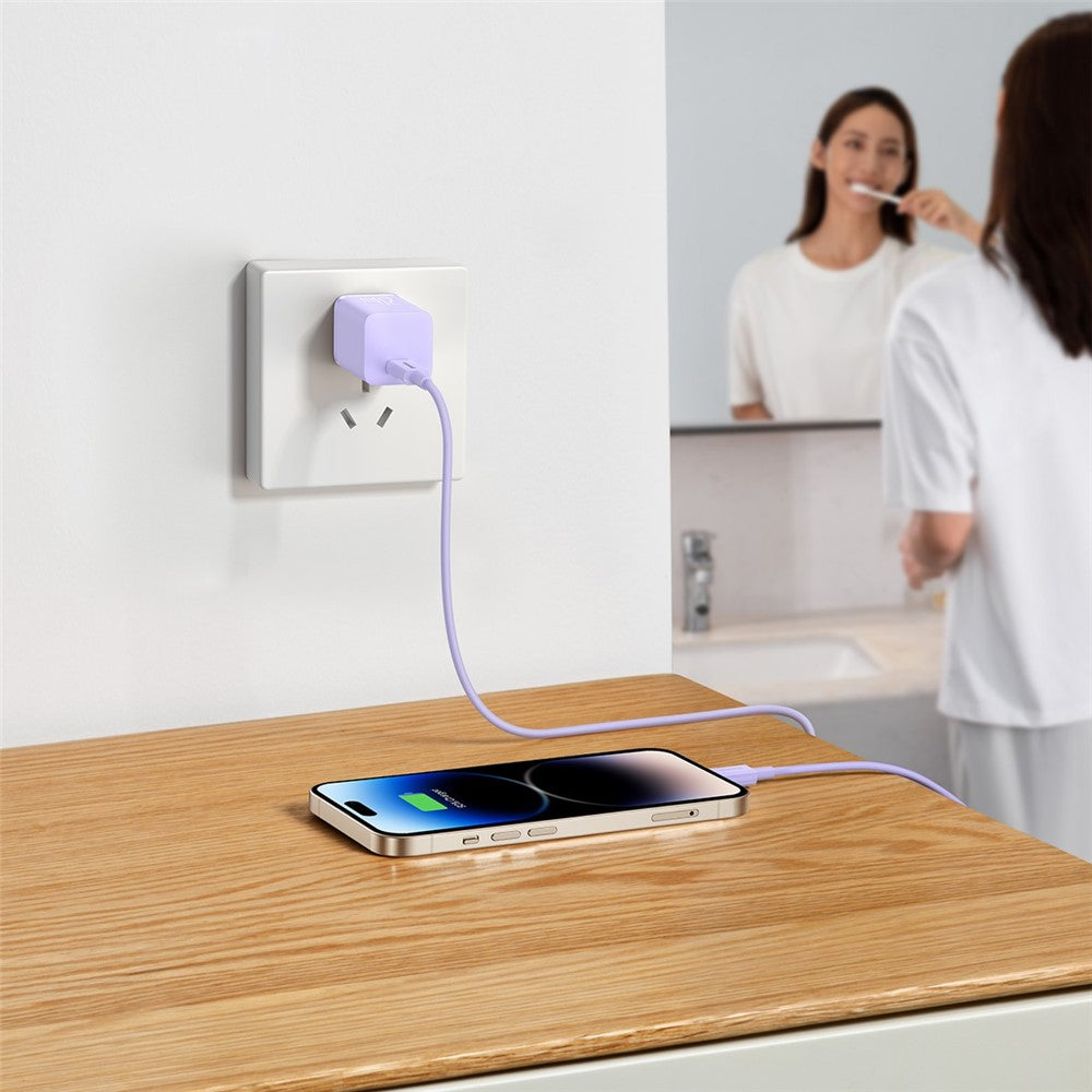 Wall Charger 