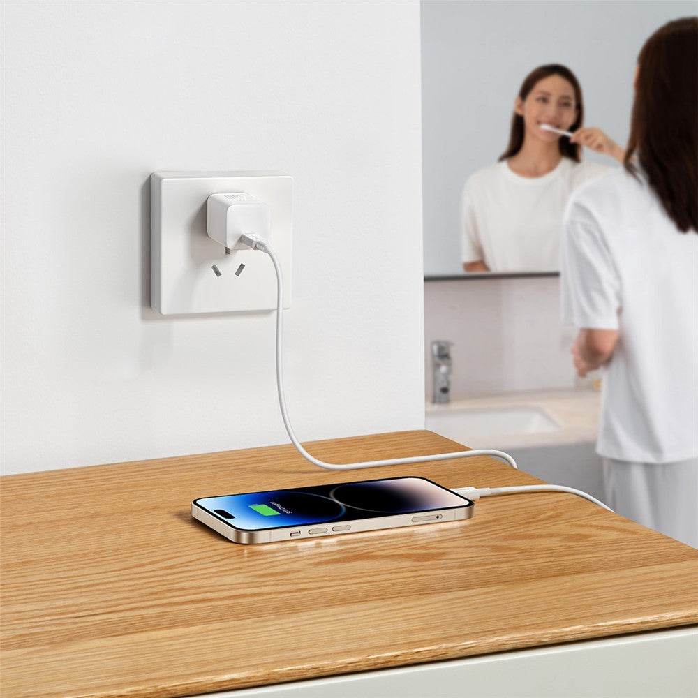 Wall Charger 