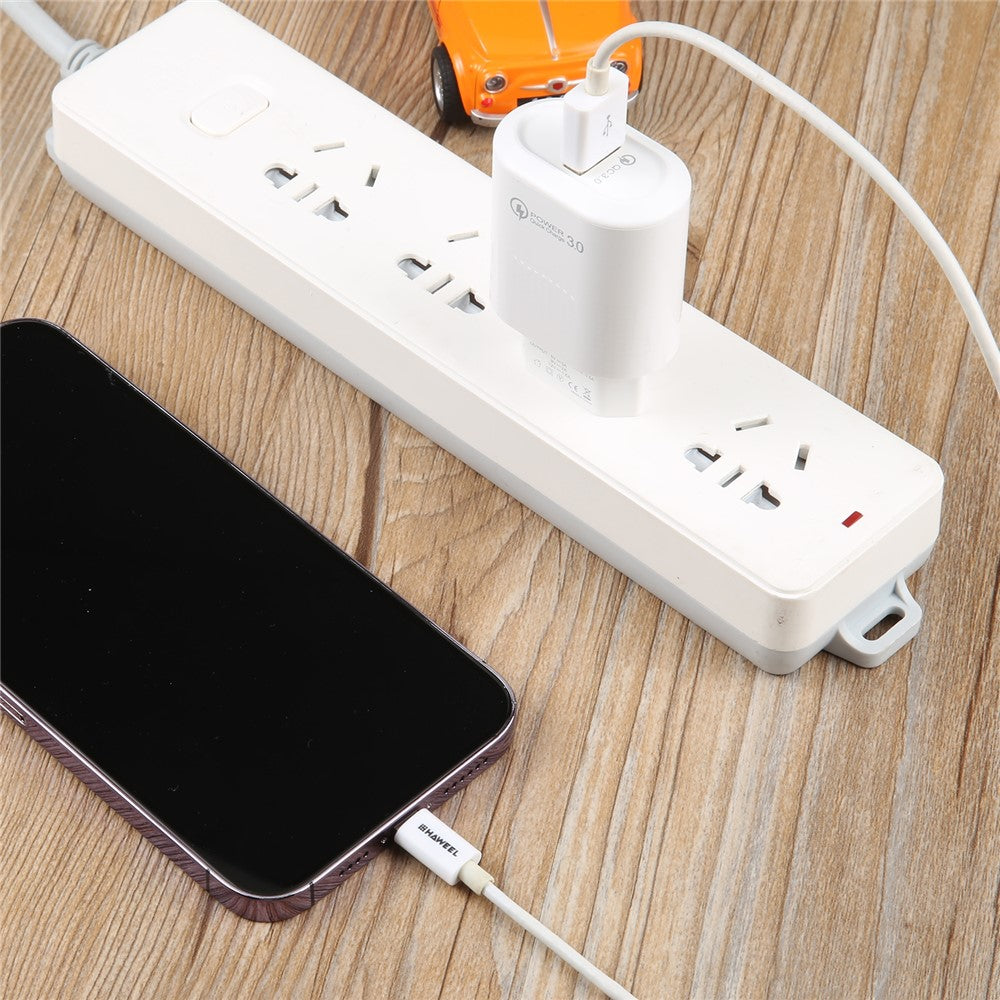 Wall Charger 