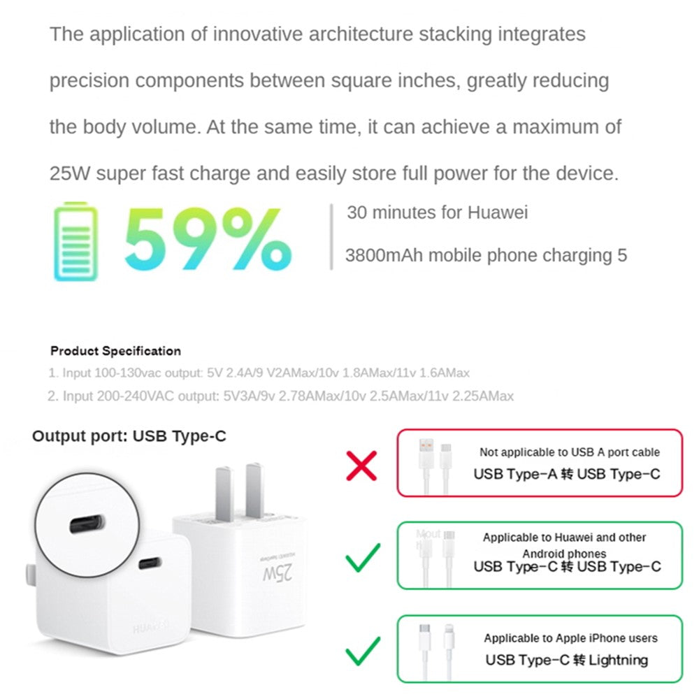 Wall Charger 