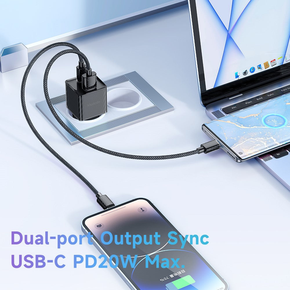 Wall Charger 