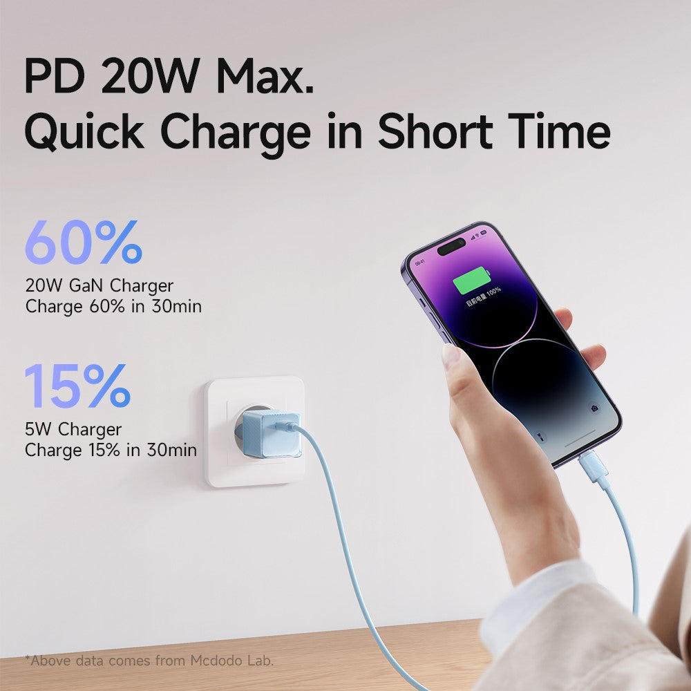Wall Charger 