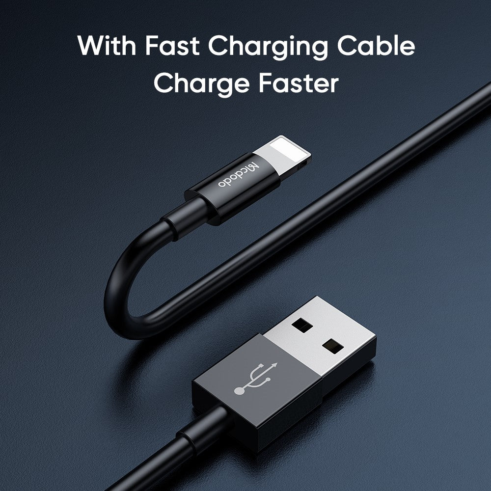 Wall Charger 