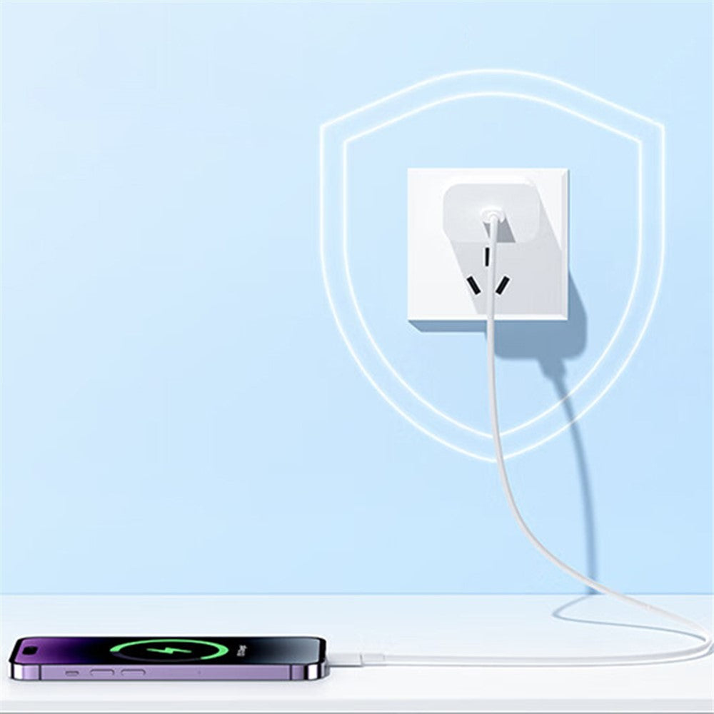 Wall Charger 