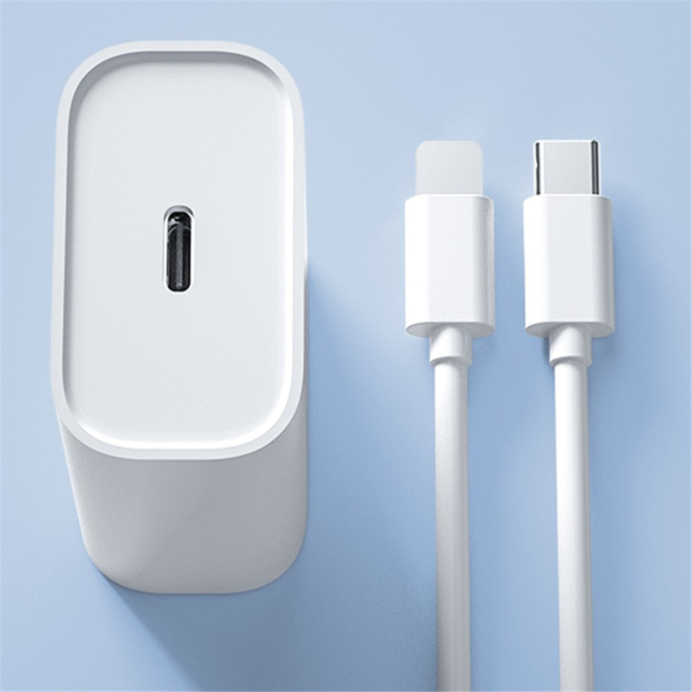 Wall Charger 