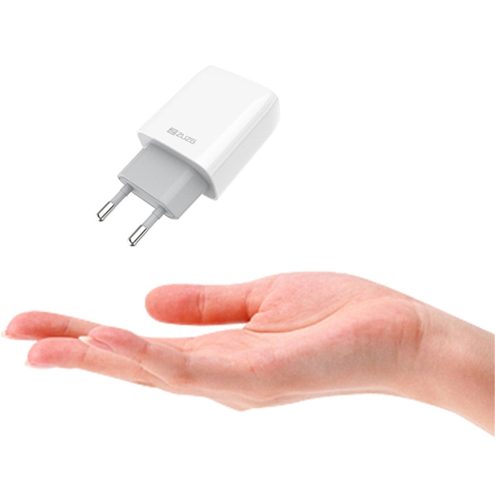 Wall Charger 