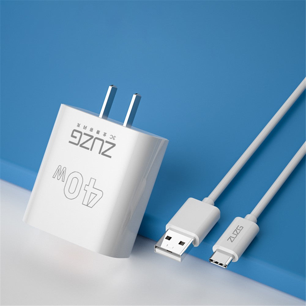 Wall Charger 