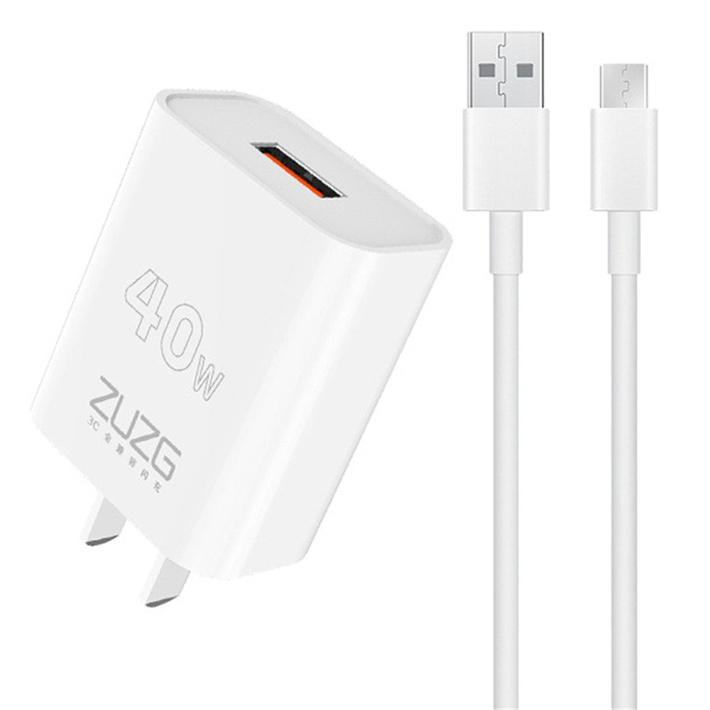 Wall Charger 