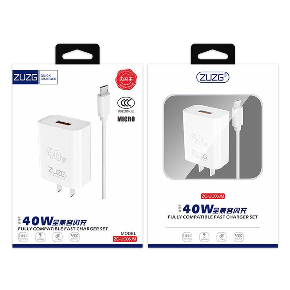 Wall Charger 