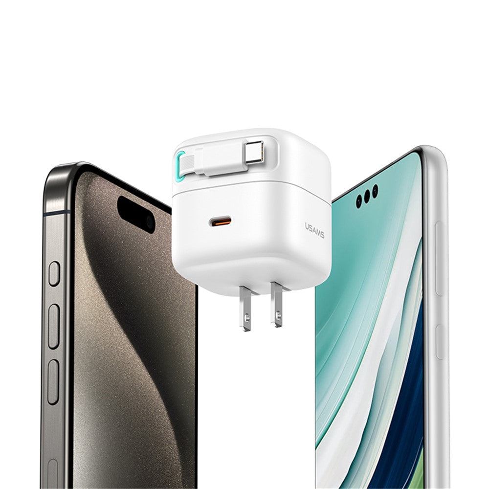 Wall Charger 