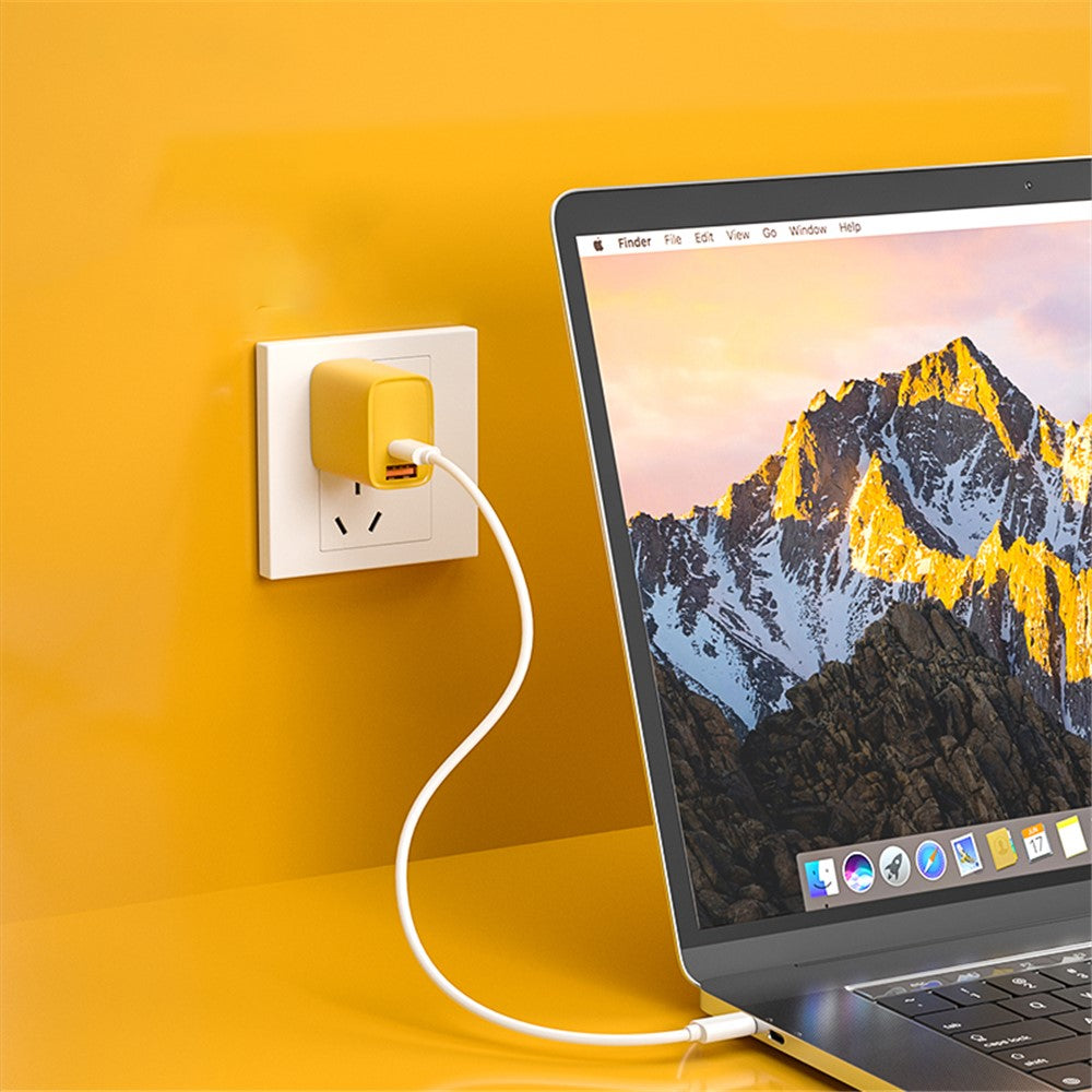 Wall Charger 