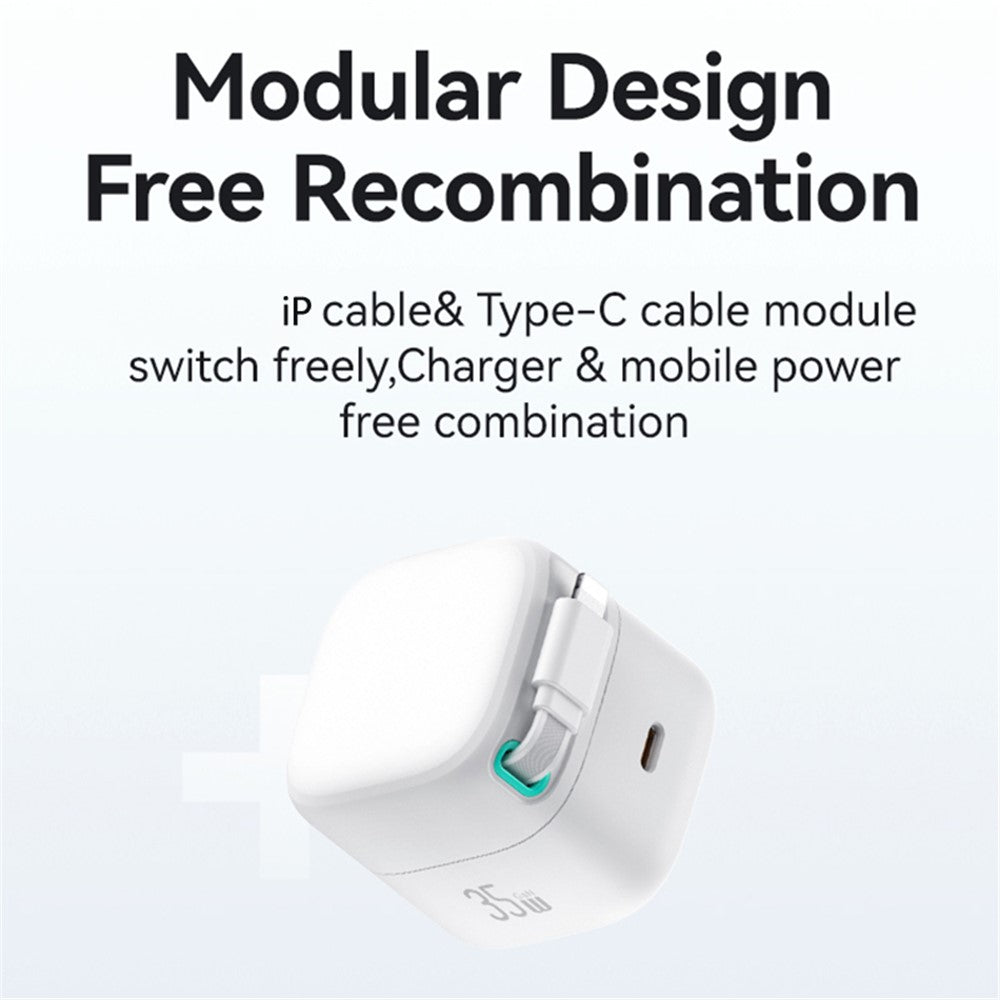 Wall Charger 