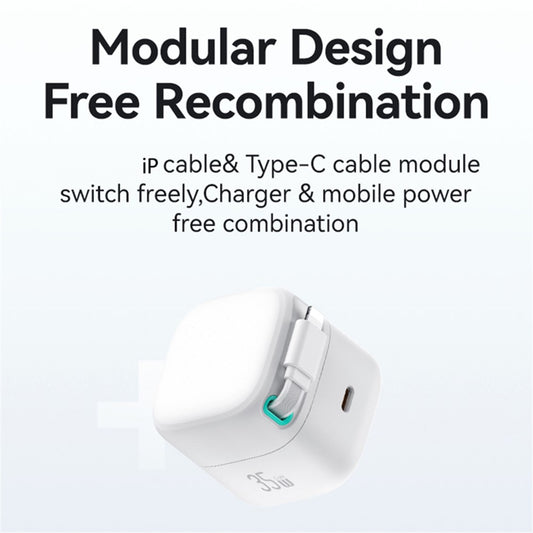 Wall Charger 