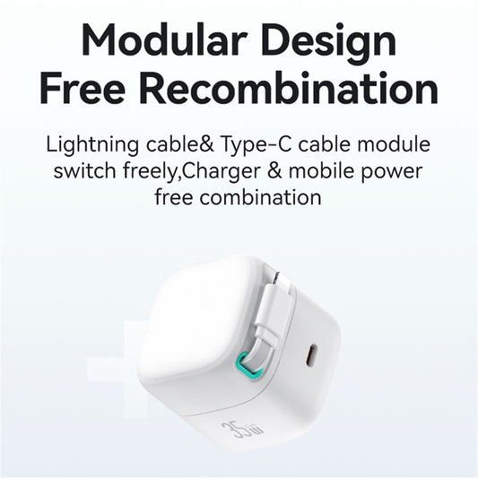 Wall Charger 
