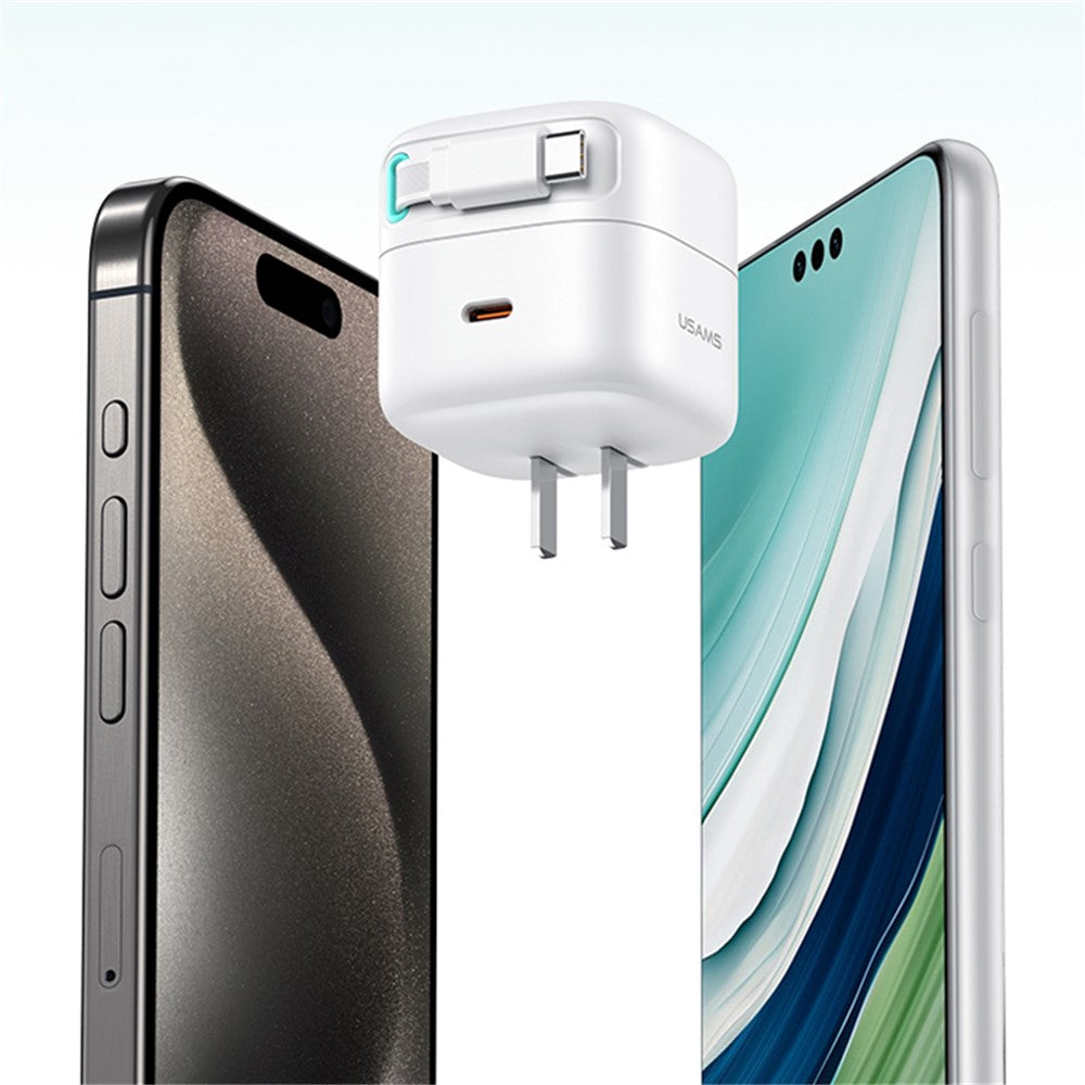 Wall Charger 
