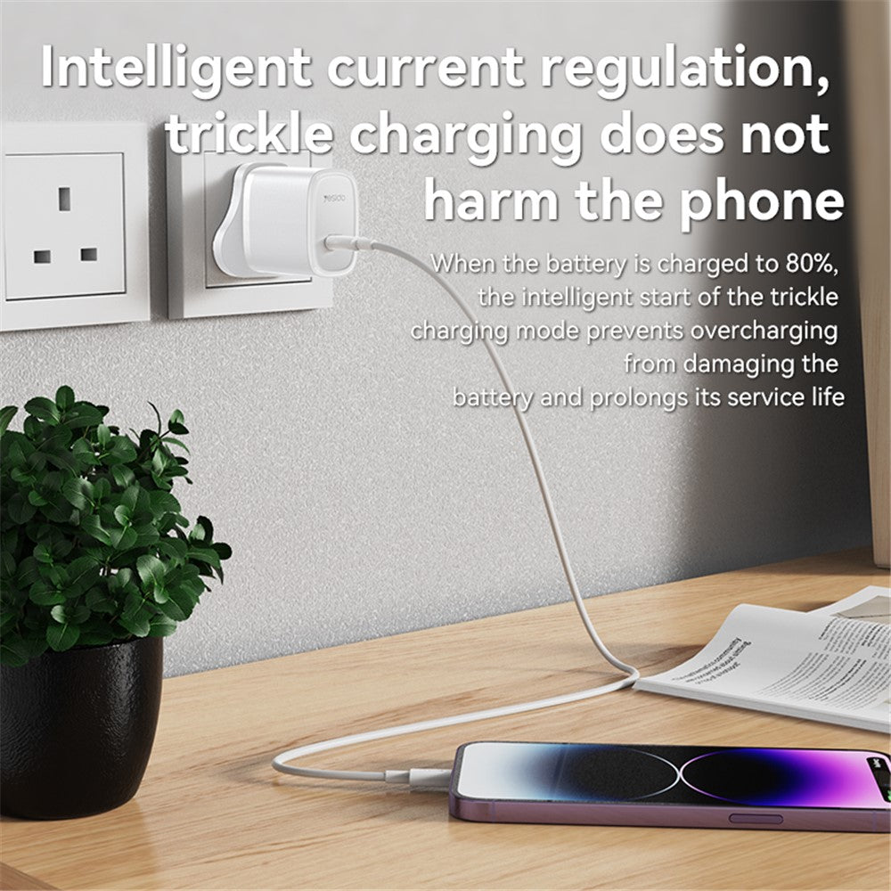 Wall Charger 