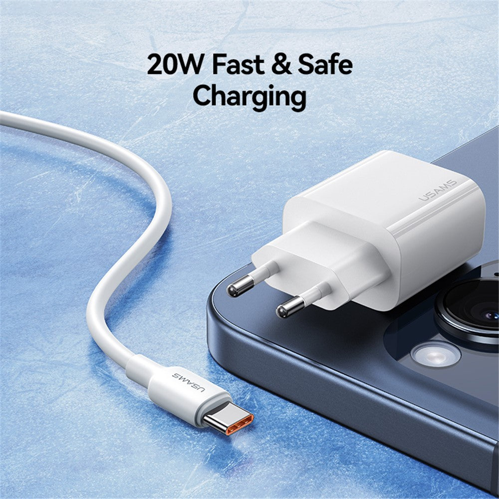 Wall Charger 