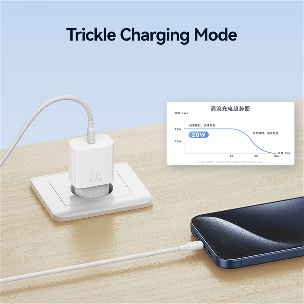 Wall Charger 