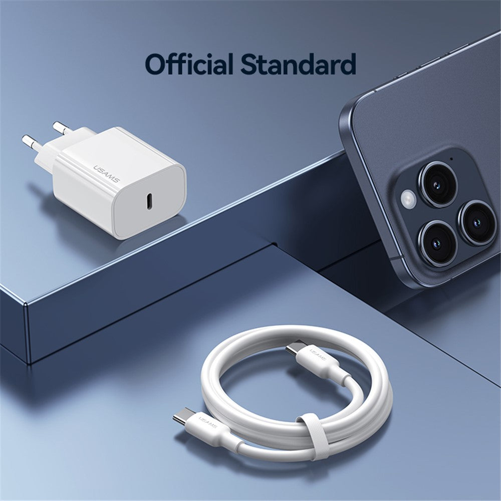 Wall Charger 