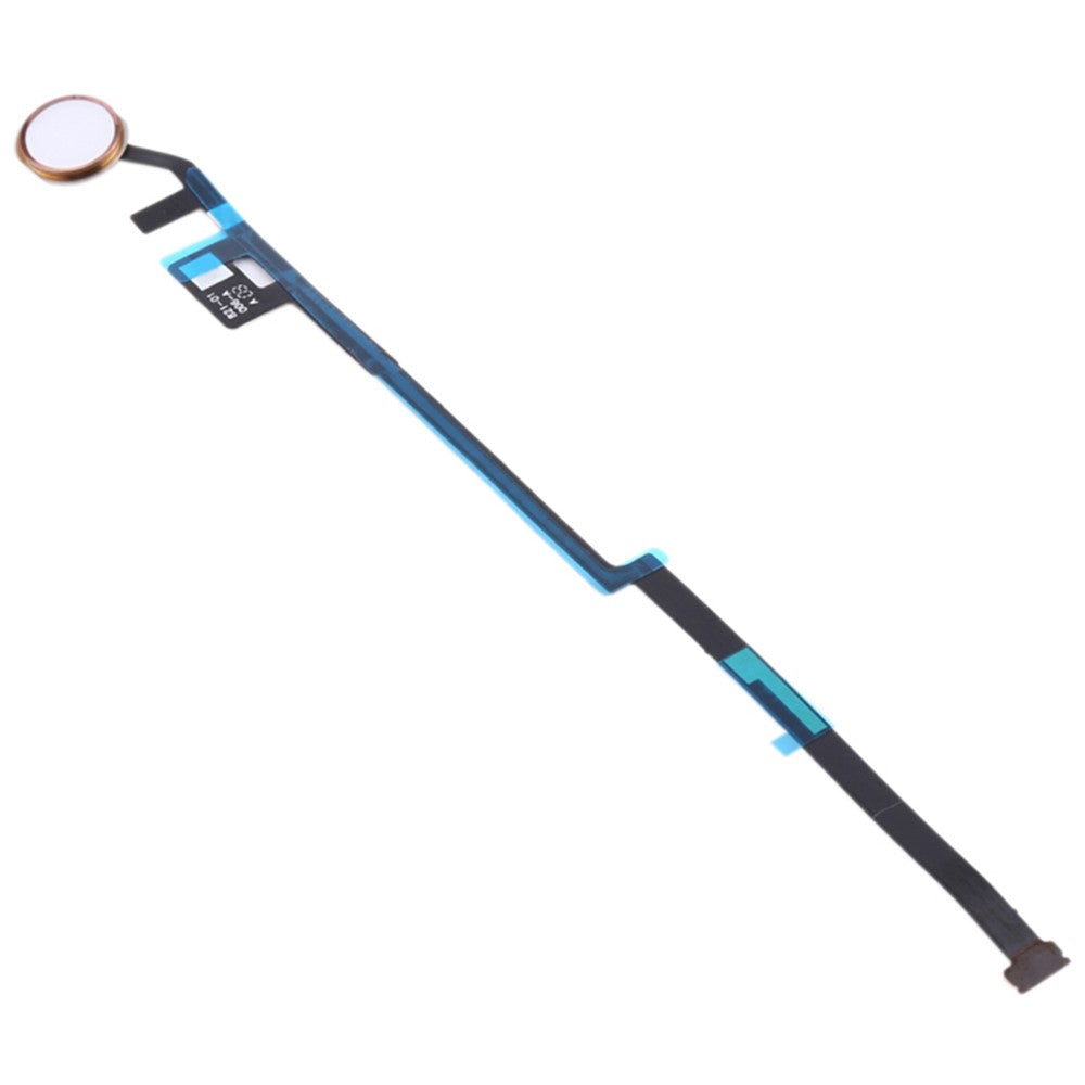 iPad Parts