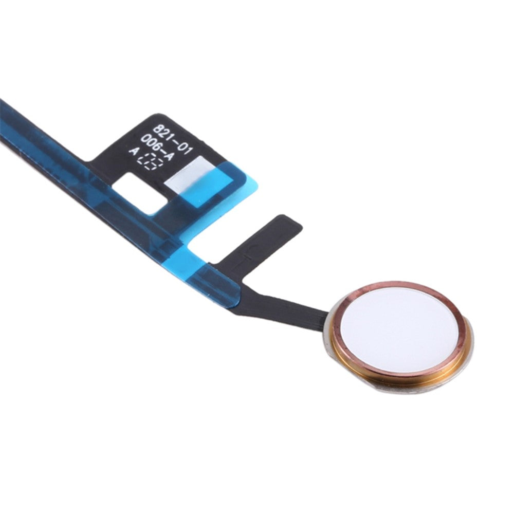 iPad Parts
