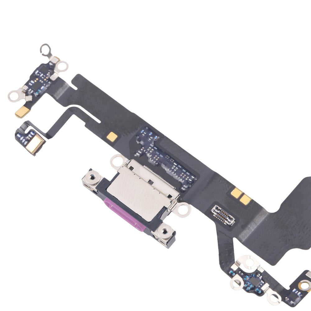 iPhone Parts