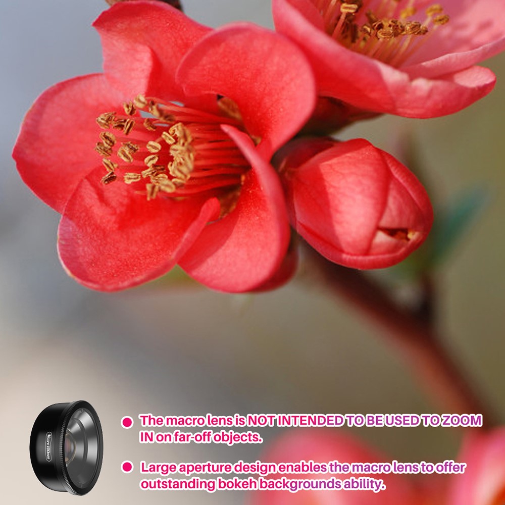 Other Camera Accessories 