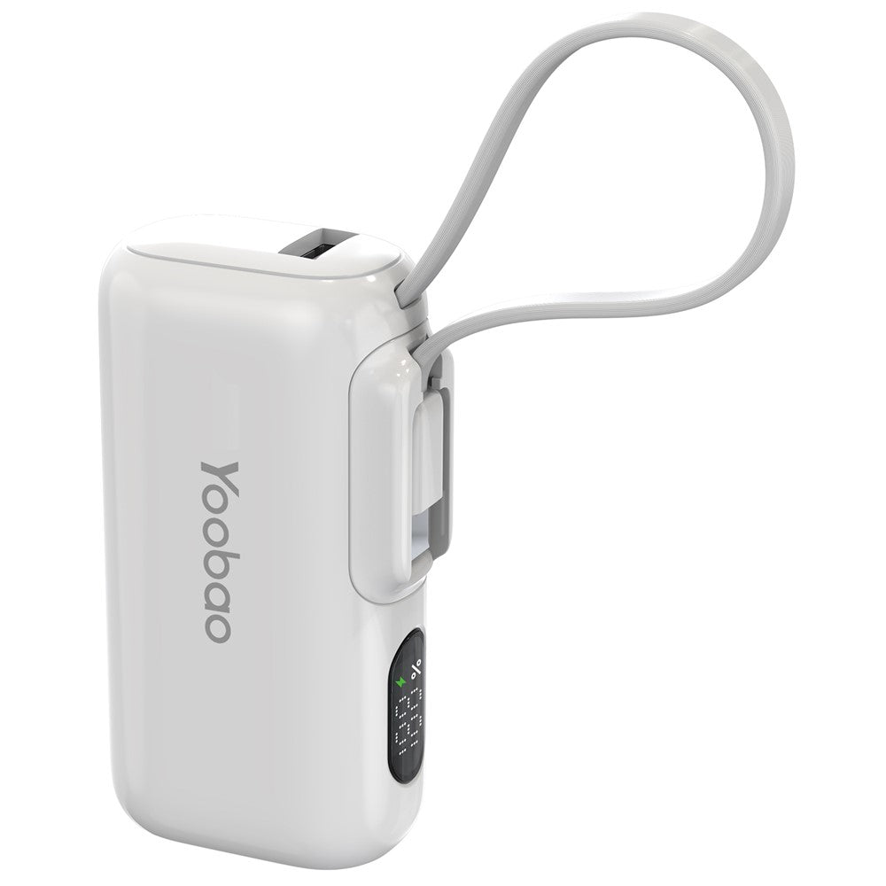 Smartphone Power Bank