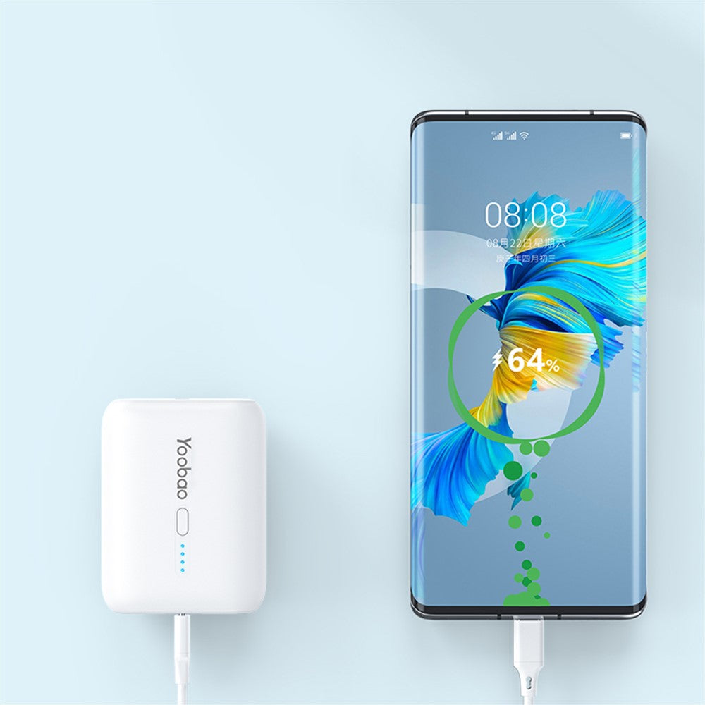 Smartphone Power Bank