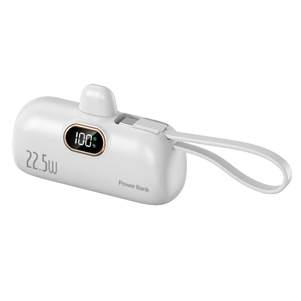 Smartphone Power Bank